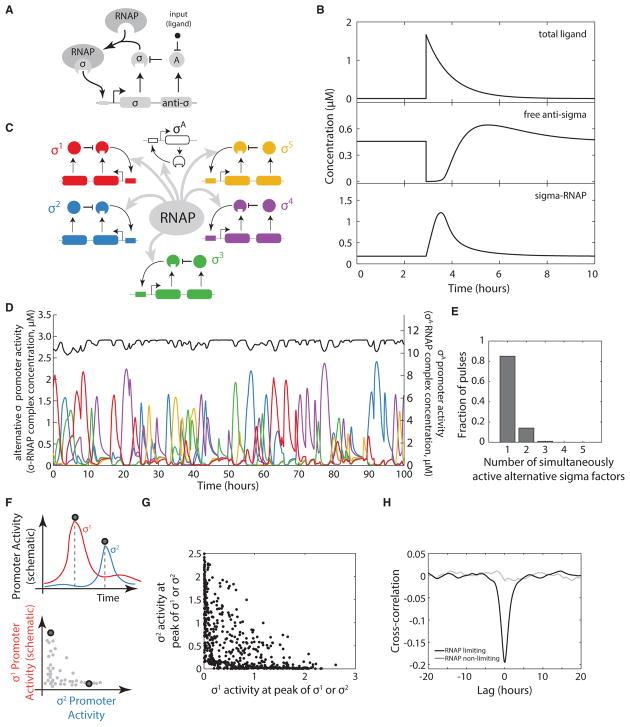 https://cdn.ncbi.nlm.nih.gov/pmc/blobs/7acb/6070344/b2b84d368040/nihms949177f3.jpg