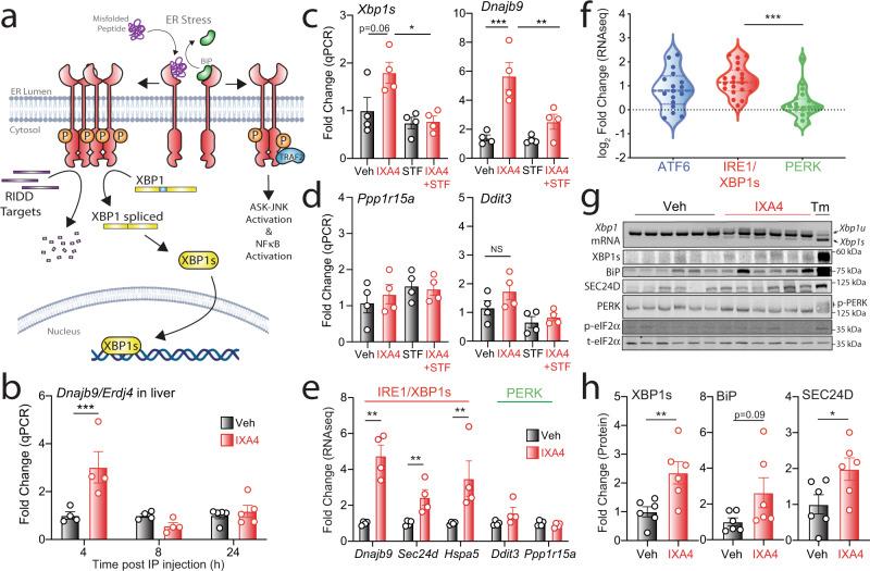 https://cdn.ncbi.nlm.nih.gov/pmc/blobs/7acc/8807832/4b22ec8008d4/41467_2022_28271_Fig1_HTML.jpg
