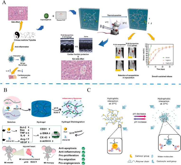 https://cdn.ncbi.nlm.nih.gov/pmc/blobs/7ace/10907859/d7f9e0c0528e/gr2.jpg