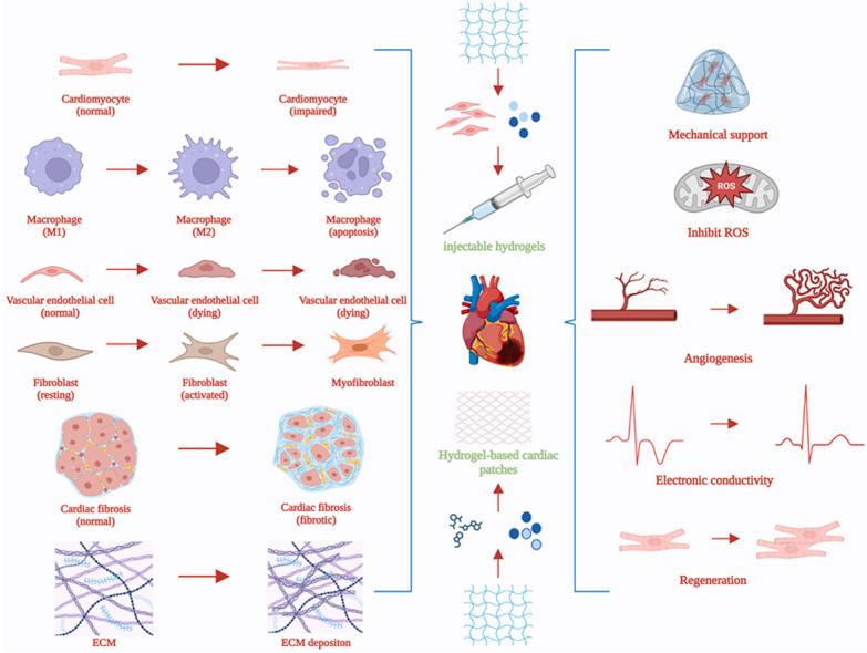 https://cdn.ncbi.nlm.nih.gov/pmc/blobs/7ace/10907859/ec4e20394c67/ga1.jpg
