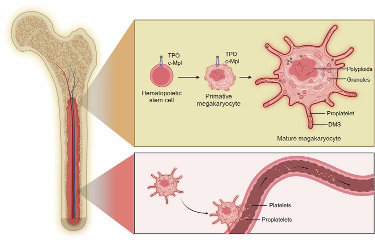 https://cdn.ncbi.nlm.nih.gov/pmc/blobs/7ace/12081703/53095aa321cd/41392_2025_2198_Fig2_HTML.jpg