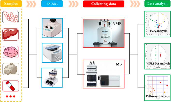 https://cdn.ncbi.nlm.nih.gov/pmc/blobs/7ace/7897673/9e8bce47bff9/fmolb-08-632955-g002.jpg
