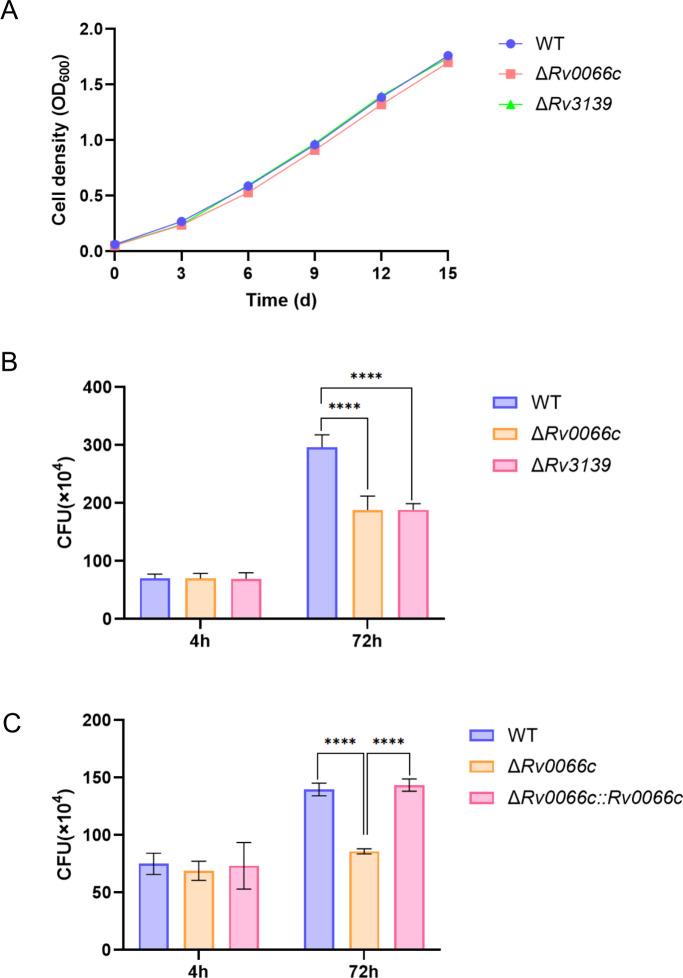 https://cdn.ncbi.nlm.nih.gov/pmc/blobs/7ad1/12323669/1d16a4e48c57/spectrum.00767-25.f005.jpg