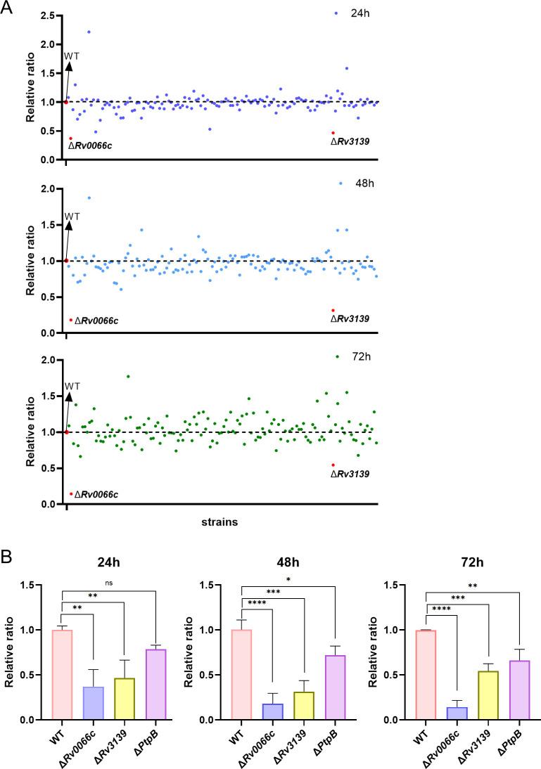 https://cdn.ncbi.nlm.nih.gov/pmc/blobs/7ad1/12323669/5b2a39a84a91/spectrum.00767-25.f004.jpg