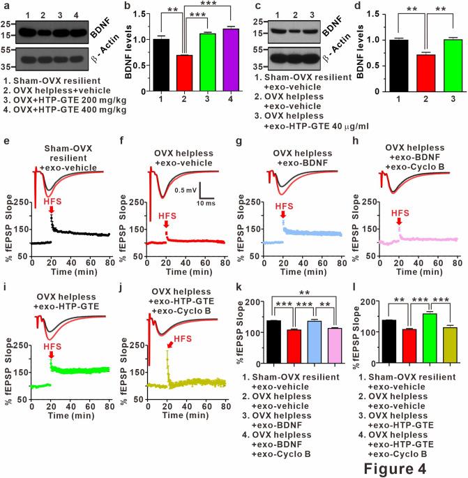 https://cdn.ncbi.nlm.nih.gov/pmc/blobs/7ad1/7806886/0c836338b279/41598_2020_79287_Fig4_HTML.jpg