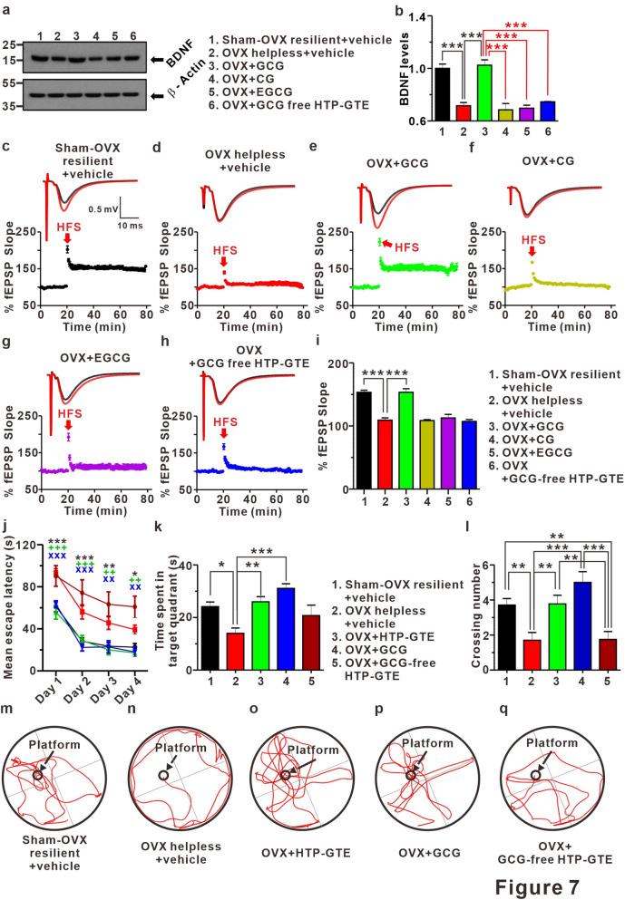 https://cdn.ncbi.nlm.nih.gov/pmc/blobs/7ad1/7806886/45ce4135995a/41598_2020_79287_Fig7_HTML.jpg