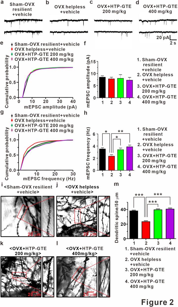 https://cdn.ncbi.nlm.nih.gov/pmc/blobs/7ad1/7806886/8ce519d8a04d/41598_2020_79287_Fig2_HTML.jpg