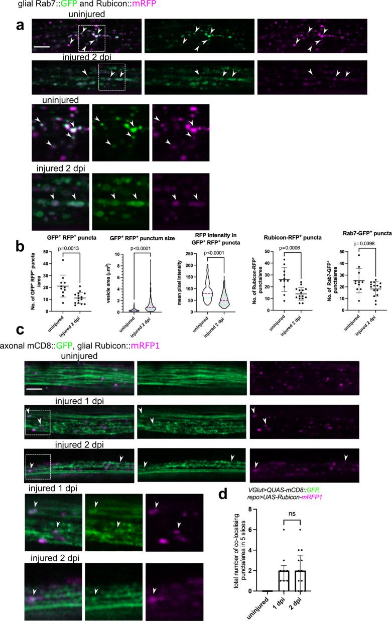 https://cdn.ncbi.nlm.nih.gov/pmc/blobs/7ad2/10227080/b72fc7063b4f/41467_2023_38755_Fig7_HTML.jpg