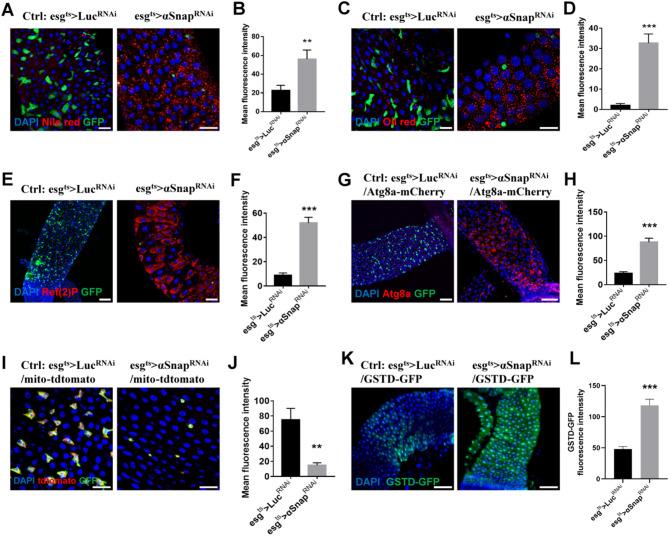 https://cdn.ncbi.nlm.nih.gov/pmc/blobs/7ad2/12125251/88516419b3ac/41598_2025_3294_Fig3_HTML.jpg