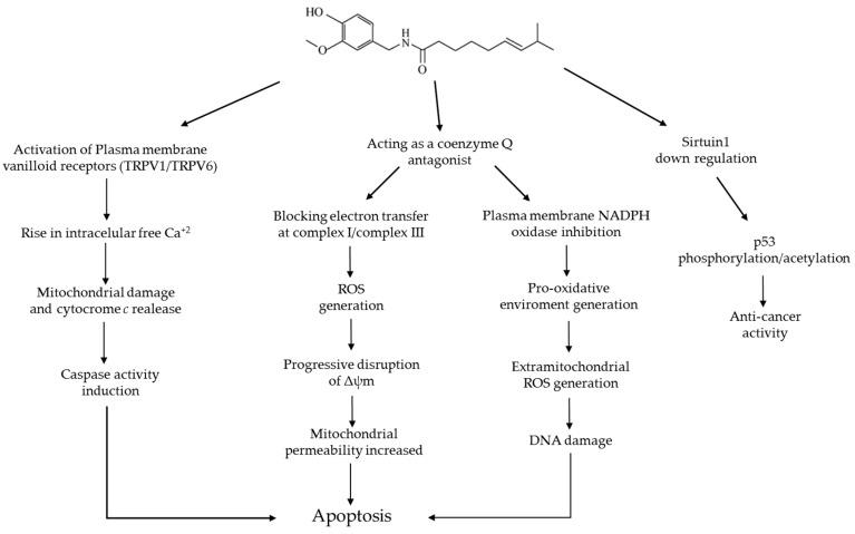 https://cdn.ncbi.nlm.nih.gov/pmc/blobs/7ad2/6274000/1dbb9e607b93/molecules-21-00931-g003.jpg