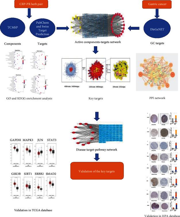 https://cdn.ncbi.nlm.nih.gov/pmc/blobs/7ad3/8068544/bfda5416c19b/ECAM2021-6667560.001.jpg