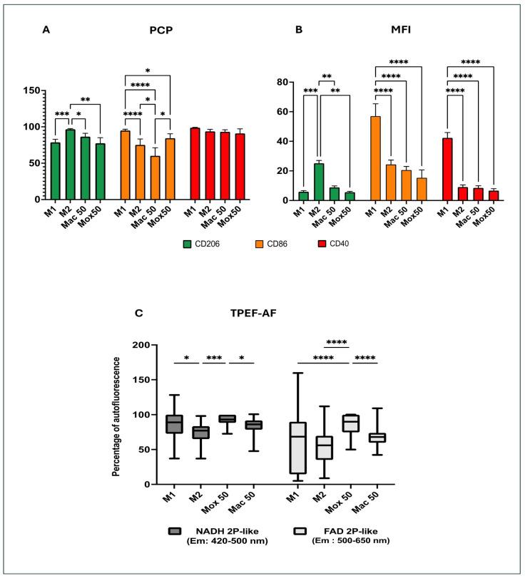 https://cdn.ncbi.nlm.nih.gov/pmc/blobs/7ad4/11432604/0a39e1bc1e2e/ijms-25-10146-g001.jpg