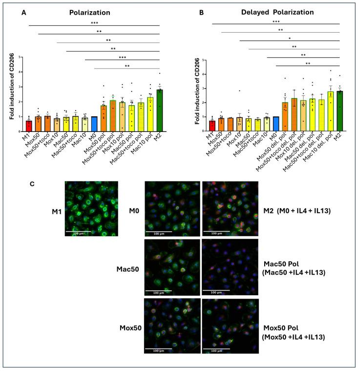 https://cdn.ncbi.nlm.nih.gov/pmc/blobs/7ad4/11432604/d39e356a57af/ijms-25-10146-g011.jpg