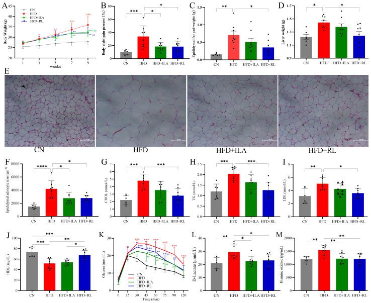 https://cdn.ncbi.nlm.nih.gov/pmc/blobs/7ad4/11722564/67a12c4d6f92/nutrients-17-00035-g008.jpg