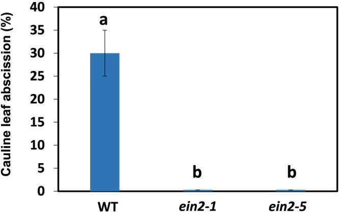 https://cdn.ncbi.nlm.nih.gov/pmc/blobs/7ad5/9444853/5174cdf8b446/PLD3-6-e444-g005.jpg