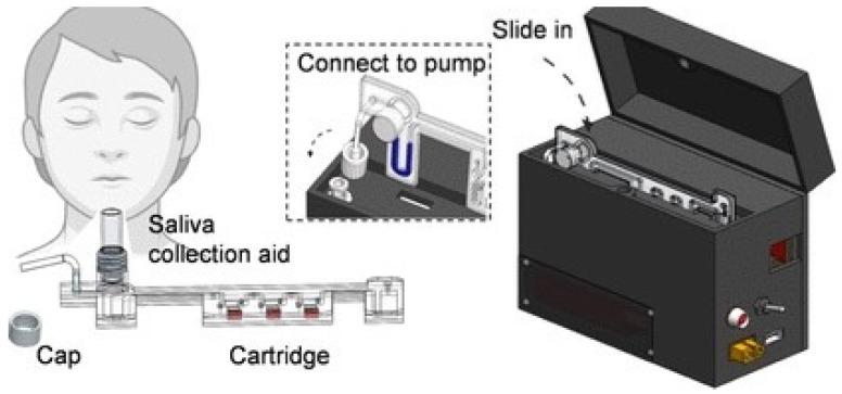 https://cdn.ncbi.nlm.nih.gov/pmc/blobs/7ad7/10886876/549cc66a00e6/biosensors-14-00097-g001.jpg