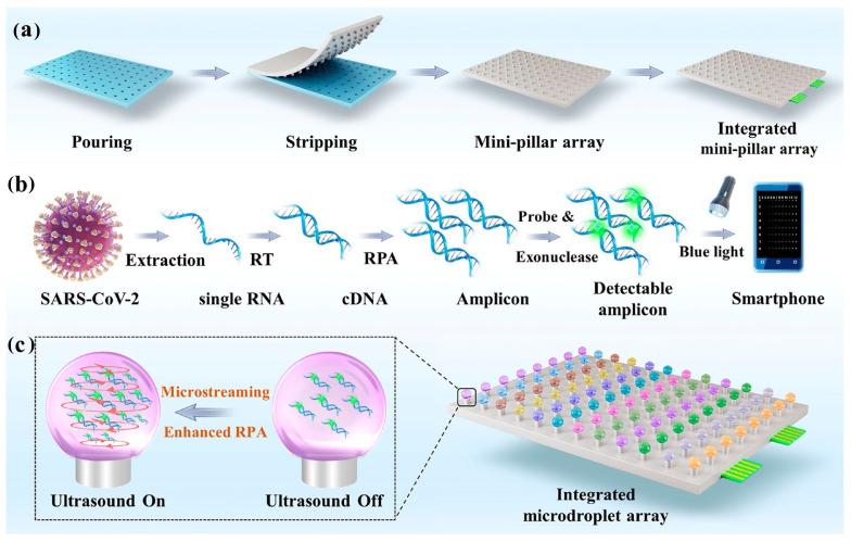 https://cdn.ncbi.nlm.nih.gov/pmc/blobs/7ad7/10886876/6f3d9ee089d9/biosensors-14-00097-g005.jpg