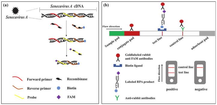 https://cdn.ncbi.nlm.nih.gov/pmc/blobs/7ad7/10886876/cde0182b11f9/biosensors-14-00097-g006.jpg