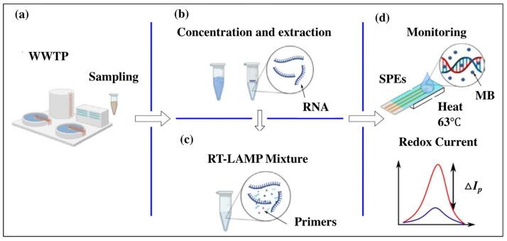 https://cdn.ncbi.nlm.nih.gov/pmc/blobs/7ad7/10886876/f2489f6de5b7/biosensors-14-00097-g003.jpg