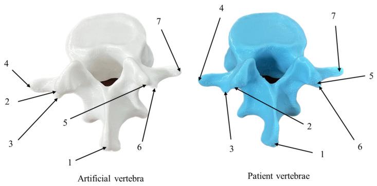 https://cdn.ncbi.nlm.nih.gov/pmc/blobs/7ad7/11672918/9dec38d6bca9/biomimetics-09-00719-g029.jpg