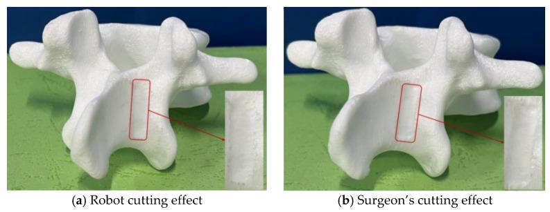 https://cdn.ncbi.nlm.nih.gov/pmc/blobs/7ad7/11672918/c73763de8c5b/biomimetics-09-00719-g025.jpg