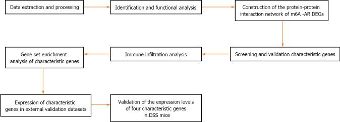 https://cdn.ncbi.nlm.nih.gov/pmc/blobs/7ada/11036473/aafde01a201c/WJCC-12-1750-g008.jpg