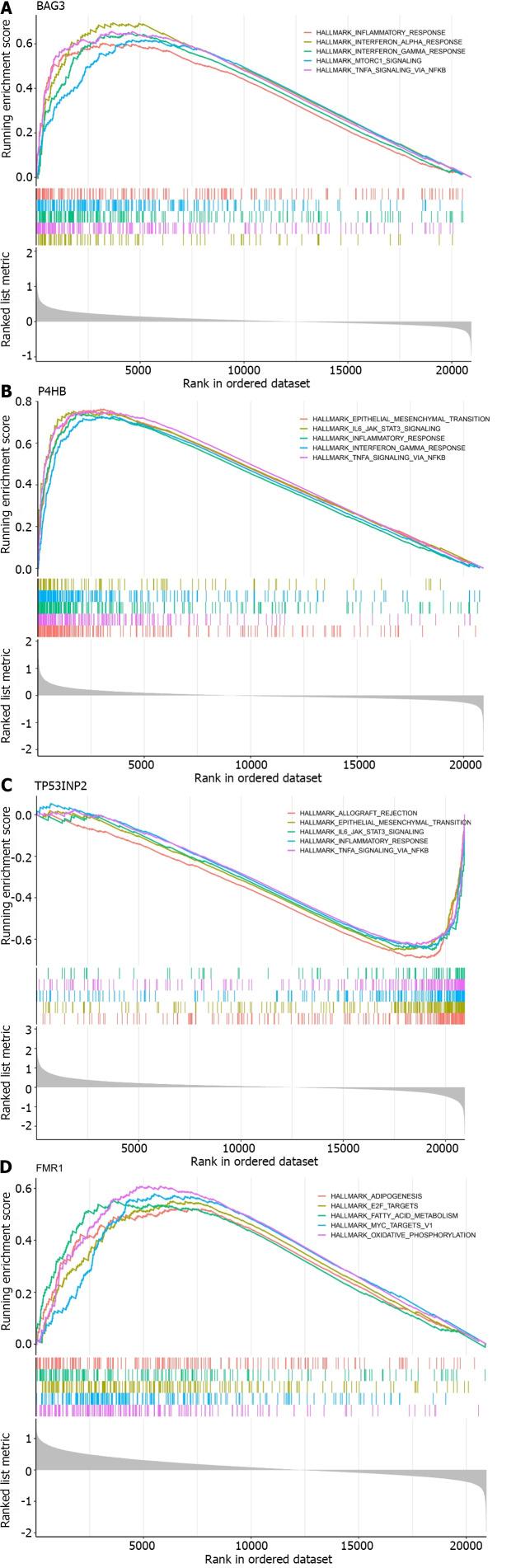 https://cdn.ncbi.nlm.nih.gov/pmc/blobs/7ada/11036473/fdbc79d2bc09/WJCC-12-1750-g005.jpg