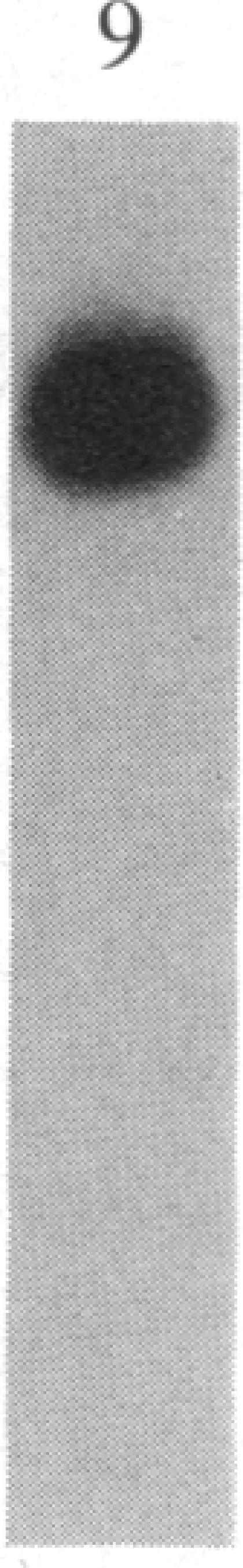 https://cdn.ncbi.nlm.nih.gov/pmc/blobs/7adb/387081/ba7e1d8f2159/pnas00327-0285-d.jpg
