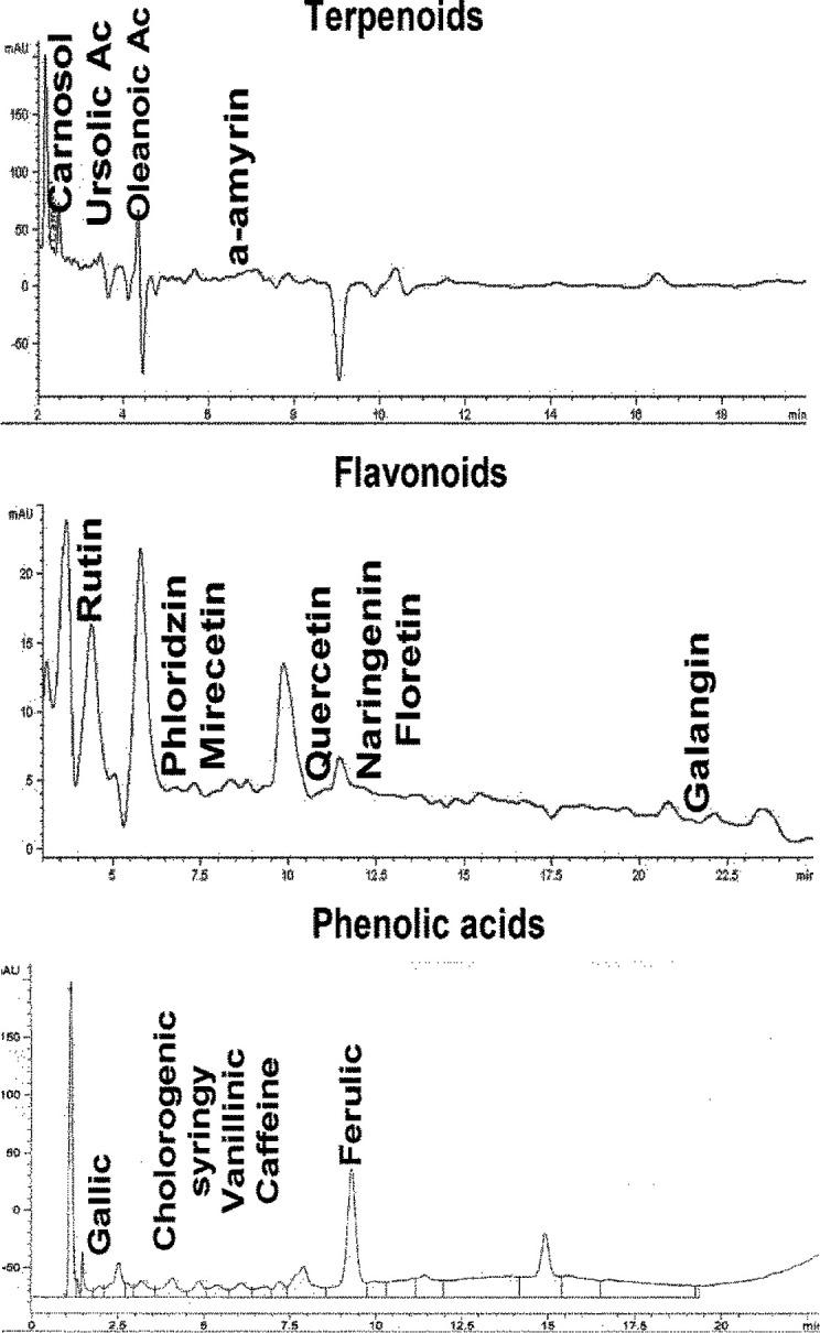 https://cdn.ncbi.nlm.nih.gov/pmc/blobs/7adc/10008388/9adc86702ccf/IJBMS-26-414-g001.jpg