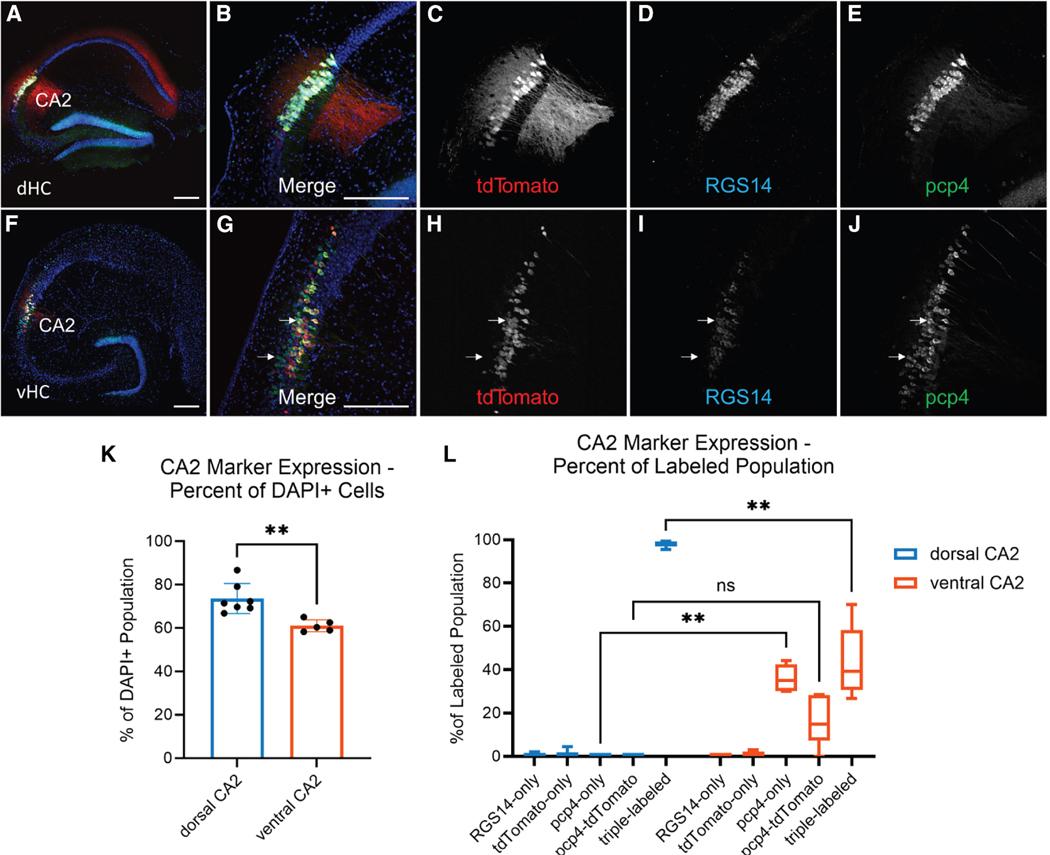 https://cdn.ncbi.nlm.nih.gov/pmc/blobs/7ade/12308836/cd5512f48442/nihms-2085666-f0002.jpg