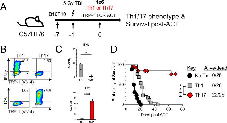 https://cdn.ncbi.nlm.nih.gov/pmc/blobs/7adf/11216073/4e1a798efd05/jitc-2023-008715f01.jpg