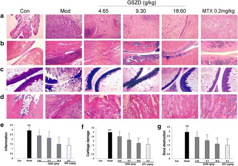 https://cdn.ncbi.nlm.nih.gov/pmc/blobs/7adf/4898408/698716b01fbd/12967_2016_921_Fig7_HTML.jpg