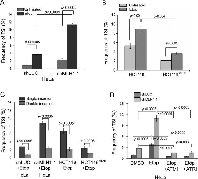 https://cdn.ncbi.nlm.nih.gov/pmc/blobs/7adf/5388398/32b9653d3f56/gkw1170fig3.jpg