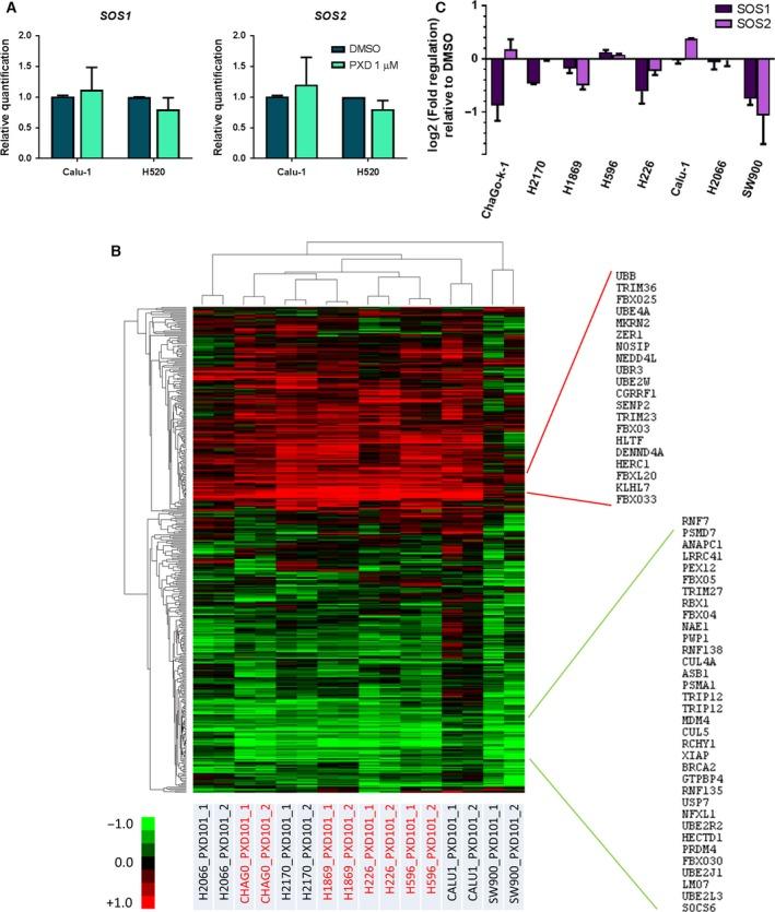 https://cdn.ncbi.nlm.nih.gov/pmc/blobs/7adf/5537707/94188f7de237/MOL2-11-965-g005.jpg
