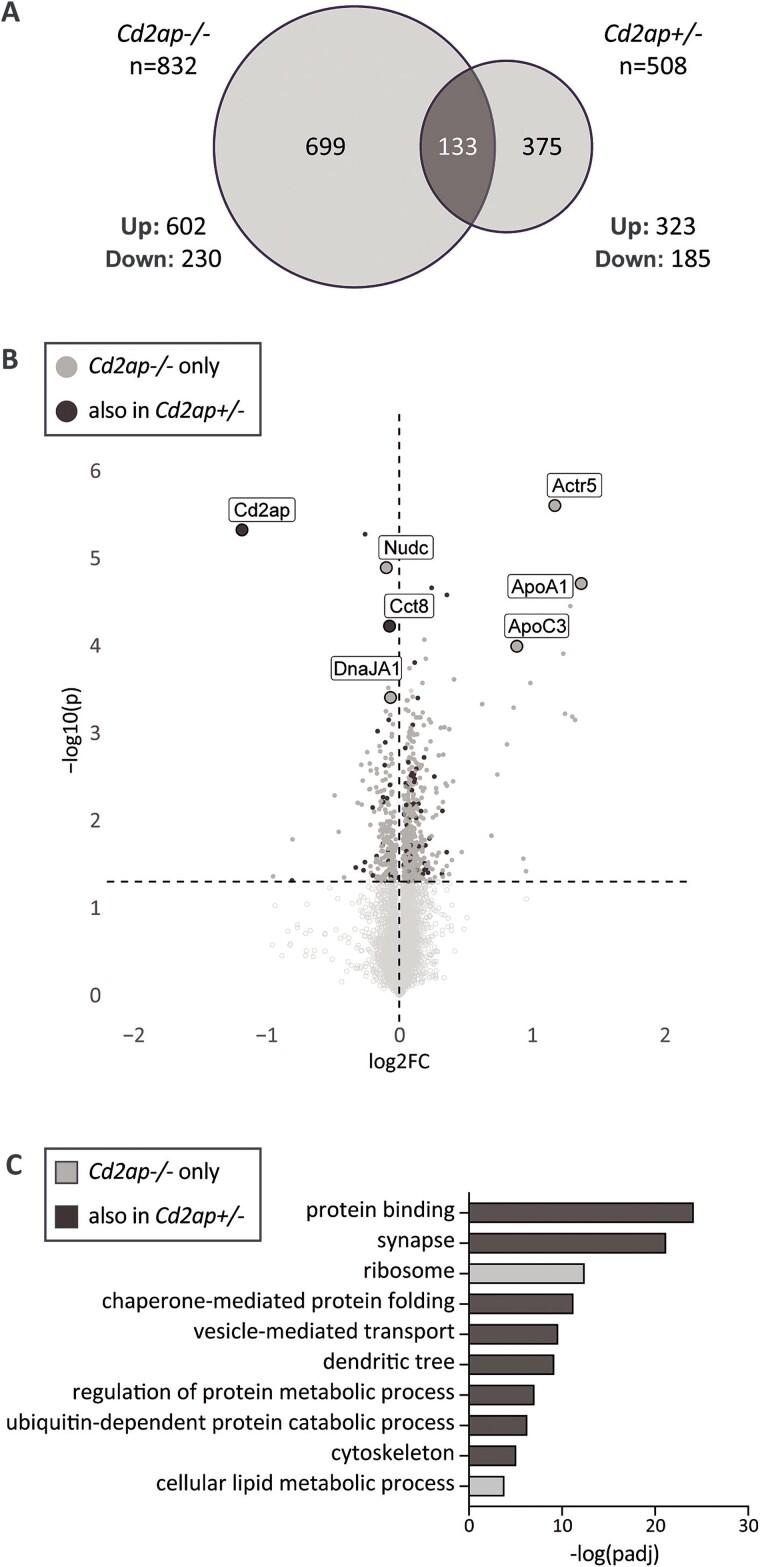 https://cdn.ncbi.nlm.nih.gov/pmc/blobs/7ae1/11458016/59b77e70b5a0/ddae115f7.jpg