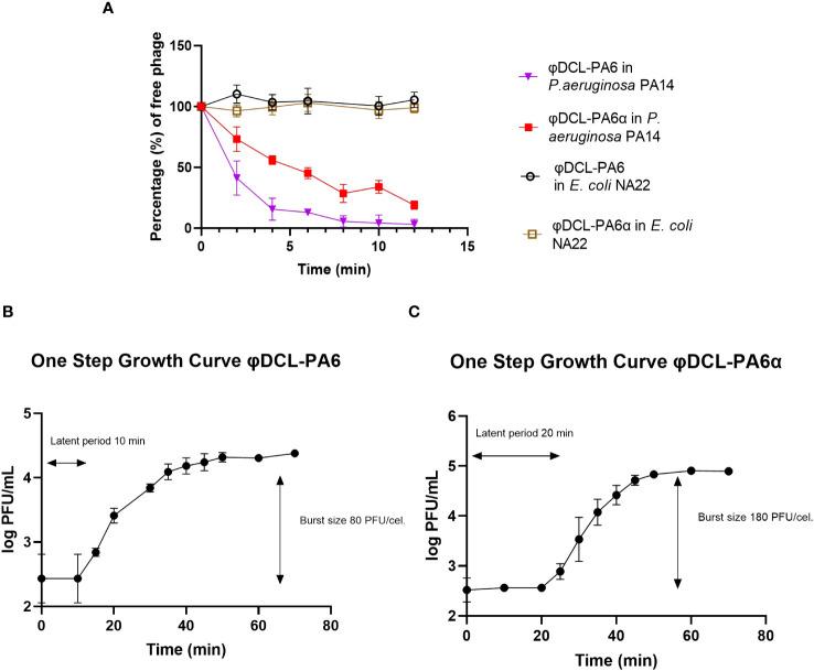 https://cdn.ncbi.nlm.nih.gov/pmc/blobs/7ae2/10828002/0fc889da9f33/fcimb-13-1280265-g002.jpg