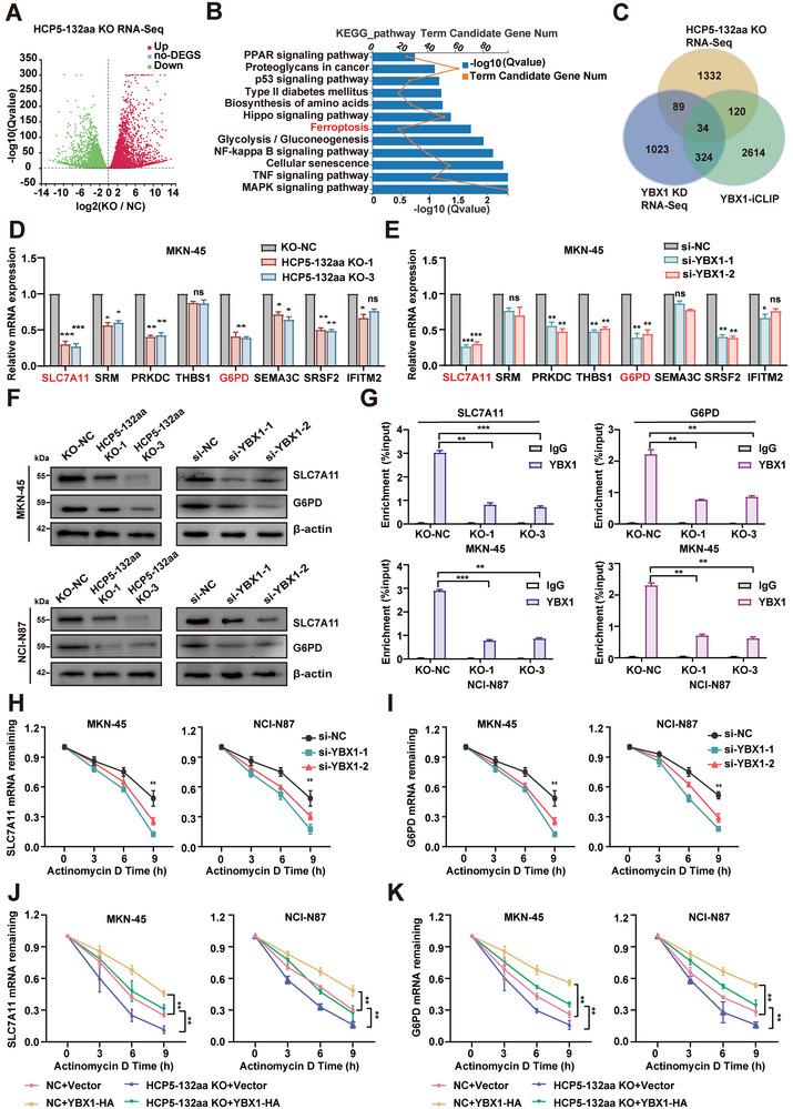 https://cdn.ncbi.nlm.nih.gov/pmc/blobs/7ae3/11633528/2e479c1e9b6a/ADVS-11-2407012-g008.jpg