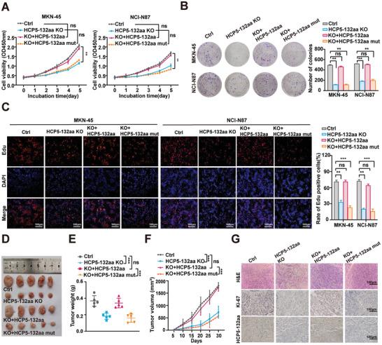 https://cdn.ncbi.nlm.nih.gov/pmc/blobs/7ae3/11633528/4ddc1033a209/ADVS-11-2407012-g006.jpg