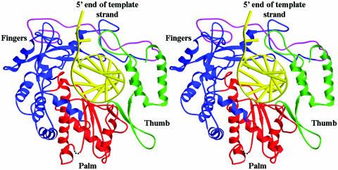 https://cdn.ncbi.nlm.nih.gov/pmc/blobs/7ae3/291860/11cb9a094f57/gkg916f2.jpg