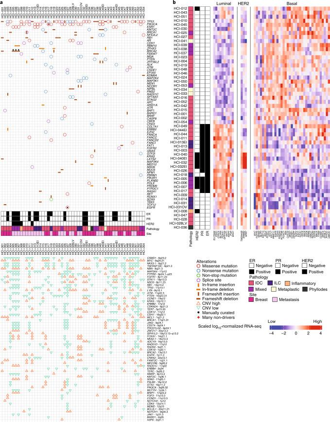 https://cdn.ncbi.nlm.nih.gov/pmc/blobs/7ae3/8882468/21521d1284f4/43018_2022_337_Fig1_HTML.jpg