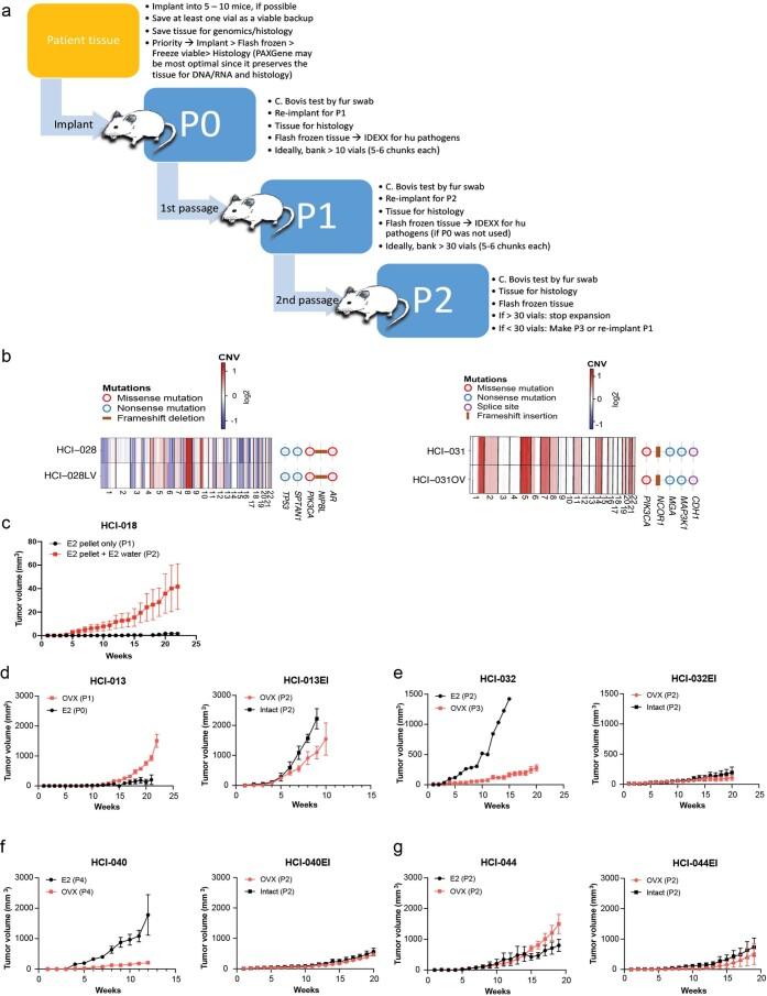 https://cdn.ncbi.nlm.nih.gov/pmc/blobs/7ae3/8882468/34ebf4acfbf4/43018_2022_337_Fig9_ESM.jpg