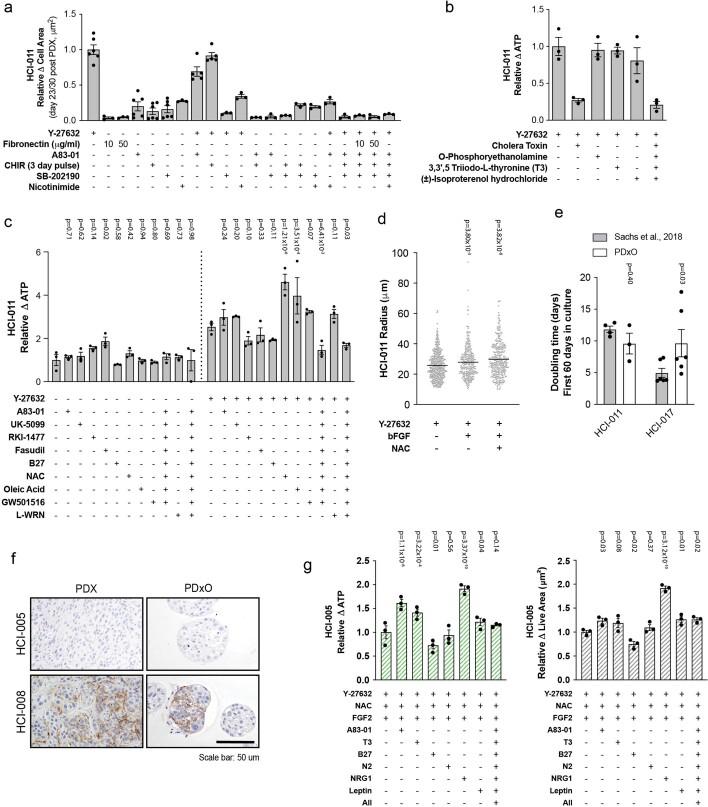 https://cdn.ncbi.nlm.nih.gov/pmc/blobs/7ae3/8882468/5e99509daf98/43018_2022_337_Fig11_ESM.jpg