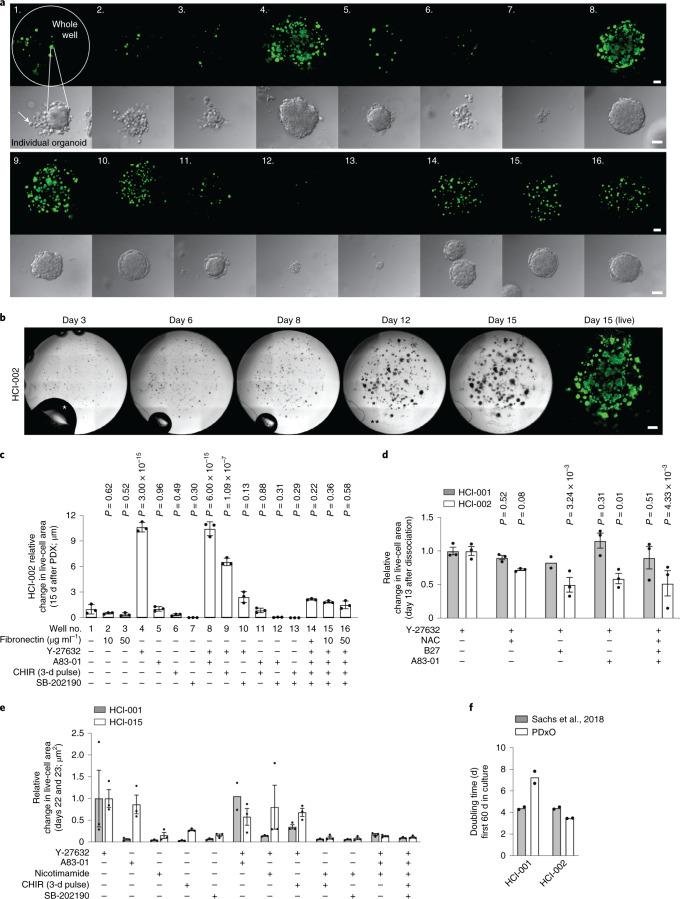 https://cdn.ncbi.nlm.nih.gov/pmc/blobs/7ae3/8882468/c574b0ea2110/43018_2022_337_Fig2_HTML.jpg
