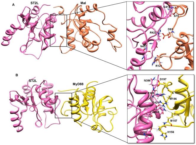 https://cdn.ncbi.nlm.nih.gov/pmc/blobs/7ae4/3163686/c3c6fefb33be/pone.0023989.g009.jpg