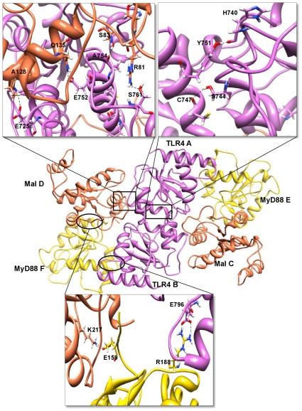 https://cdn.ncbi.nlm.nih.gov/pmc/blobs/7ae4/3163686/cd5d2fa1f0a1/pone.0023989.g006.jpg