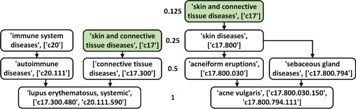 https://cdn.ncbi.nlm.nih.gov/pmc/blobs/7ae4/8941737/0bcac345c1a2/12859_2022_4611_Fig5_HTML.jpg