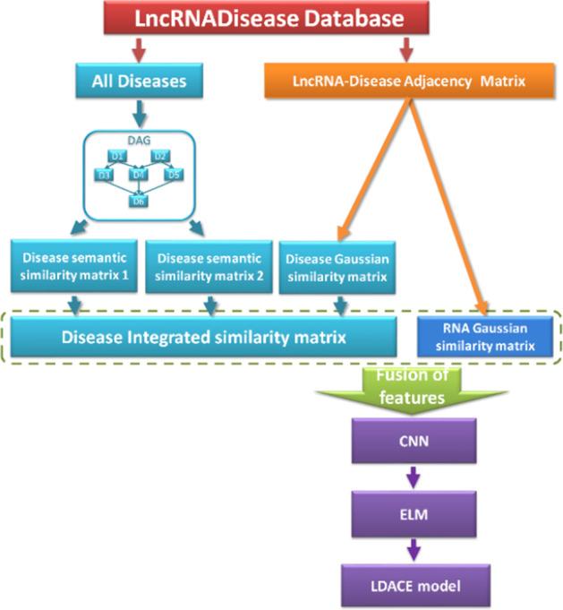 https://cdn.ncbi.nlm.nih.gov/pmc/blobs/7ae4/8941737/556e671a2889/12859_2022_4611_Fig1_HTML.jpg