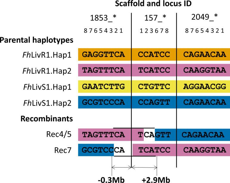 https://cdn.ncbi.nlm.nih.gov/pmc/blobs/7ae4/9904461/39620e5871da/ppat.1011081.g004.jpg