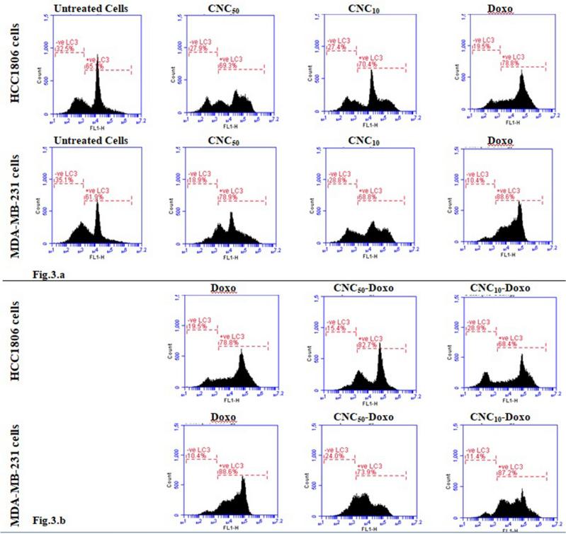 https://cdn.ncbi.nlm.nih.gov/pmc/blobs/7ae6/10827744/b68c97d3d96c/41598_2024_52952_Fig4_HTML.jpg
