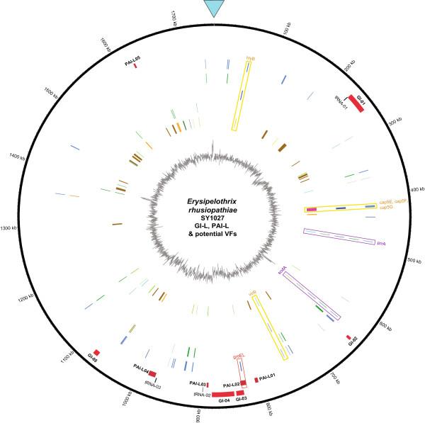 https://cdn.ncbi.nlm.nih.gov/pmc/blobs/7ae6/4105556/e517bad43c2f/1471-2180-14-176-5.jpg